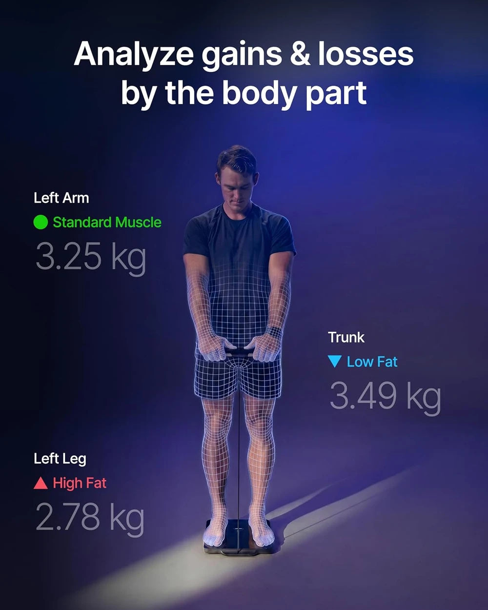 Renpho MorphoScan Nova Smart Scale